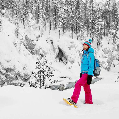 From spring till fall