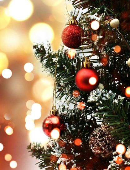 Kuusamon XXIX Olutvestarit